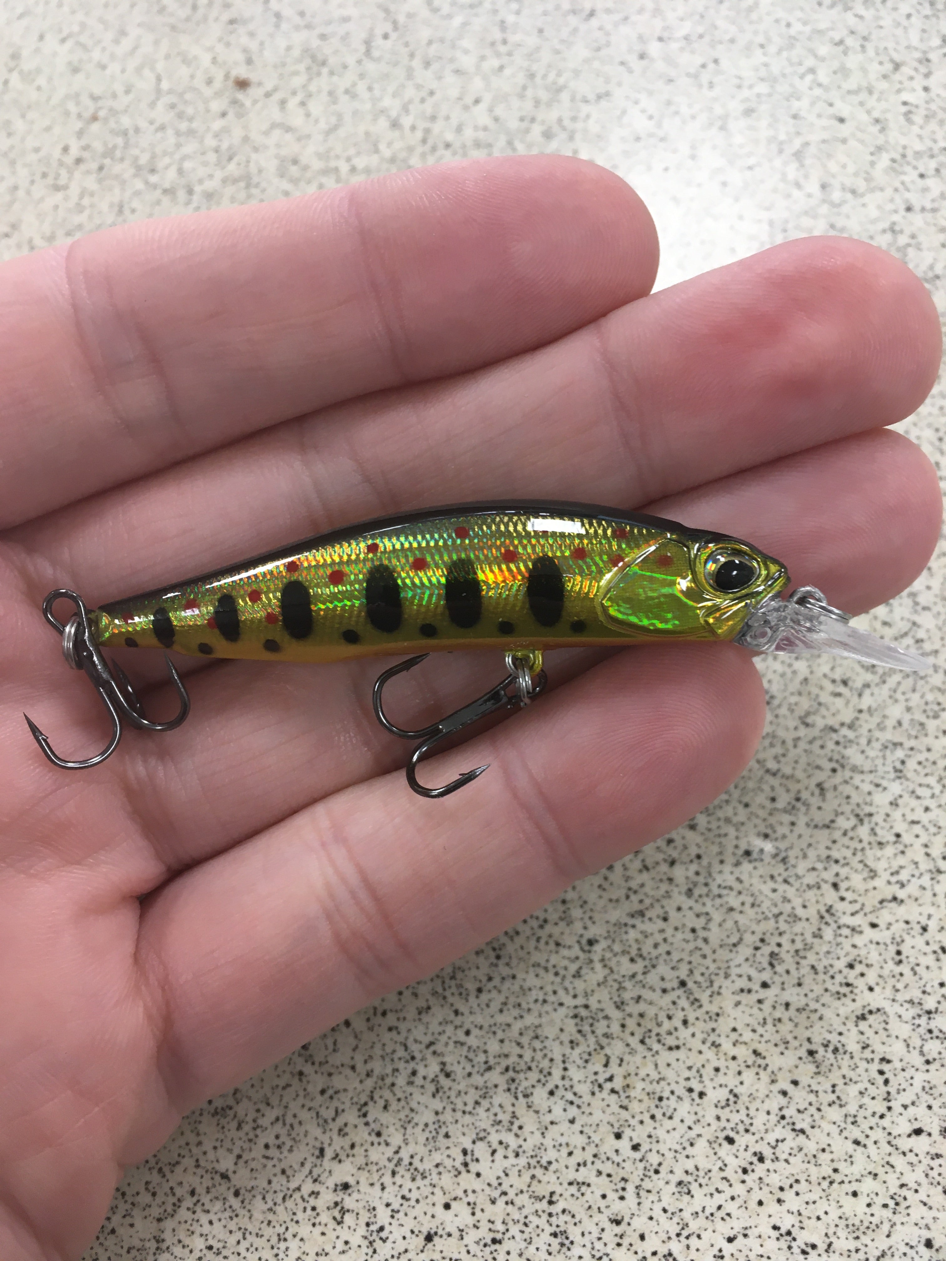 SP63 Suspending Minnow - BT