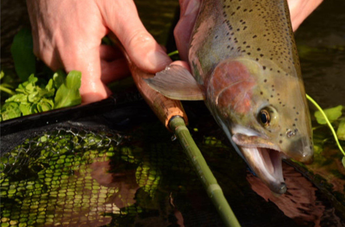 Discovery Nano Fly Rods