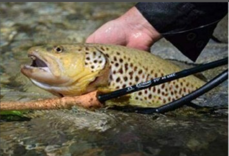 Maxcatch Extreme + Eco Reel Combo