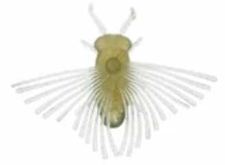 Bait Breath BJ-Bug - #602