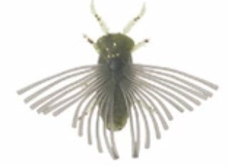 Bait Breath BJ-Bug - #603