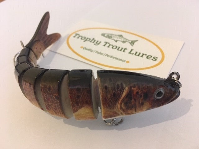 8 Segment Swimbait - Brown