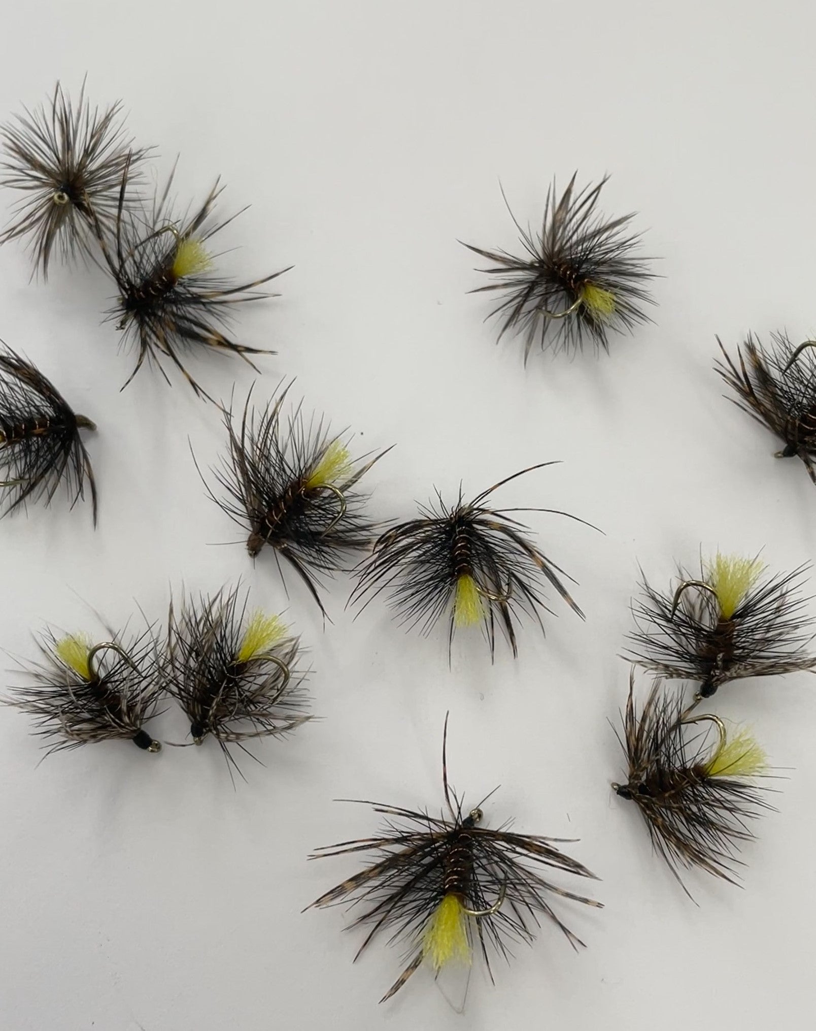 Bumbled Kate McLaren #12