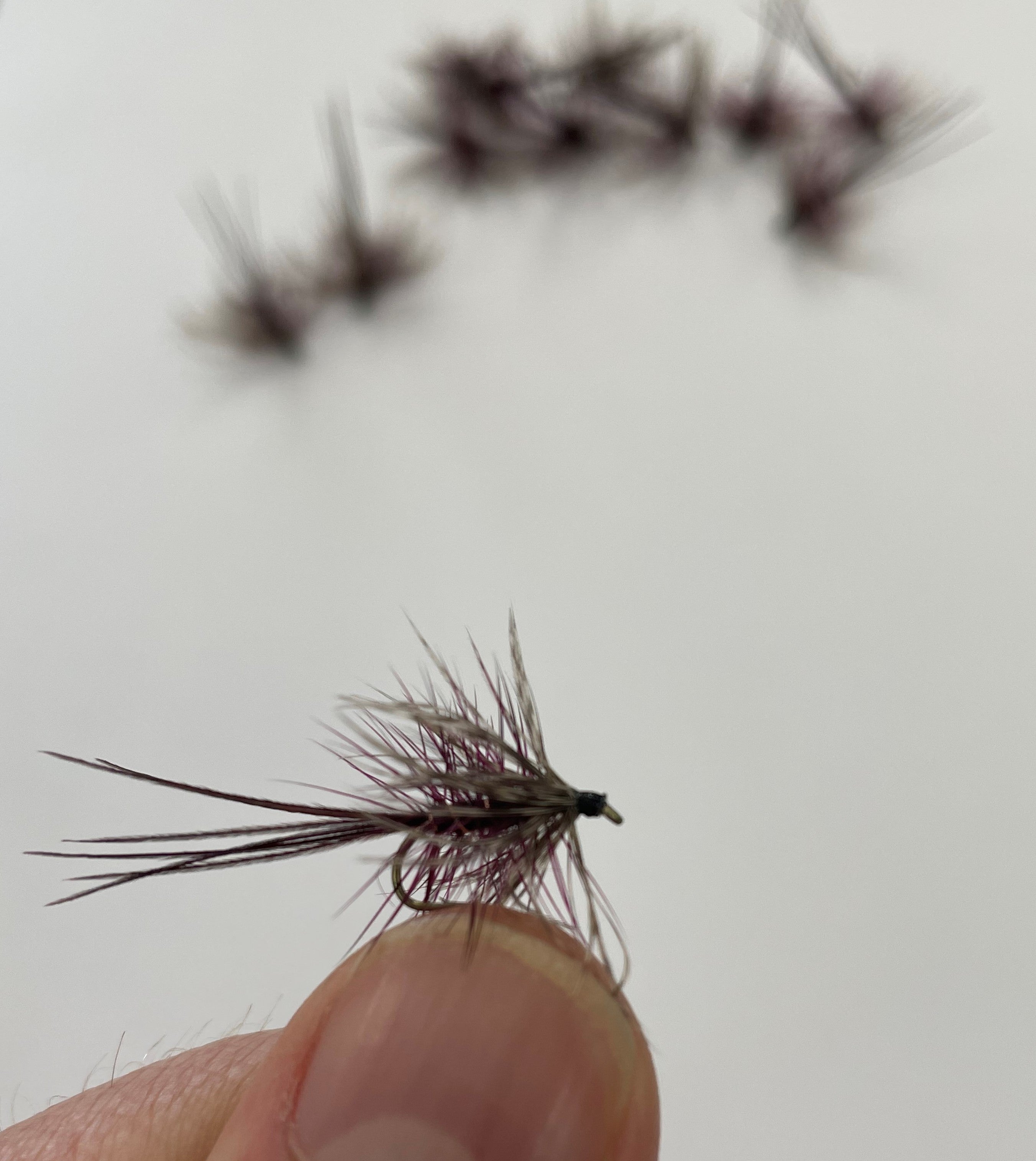 Dabbler - Claret #12