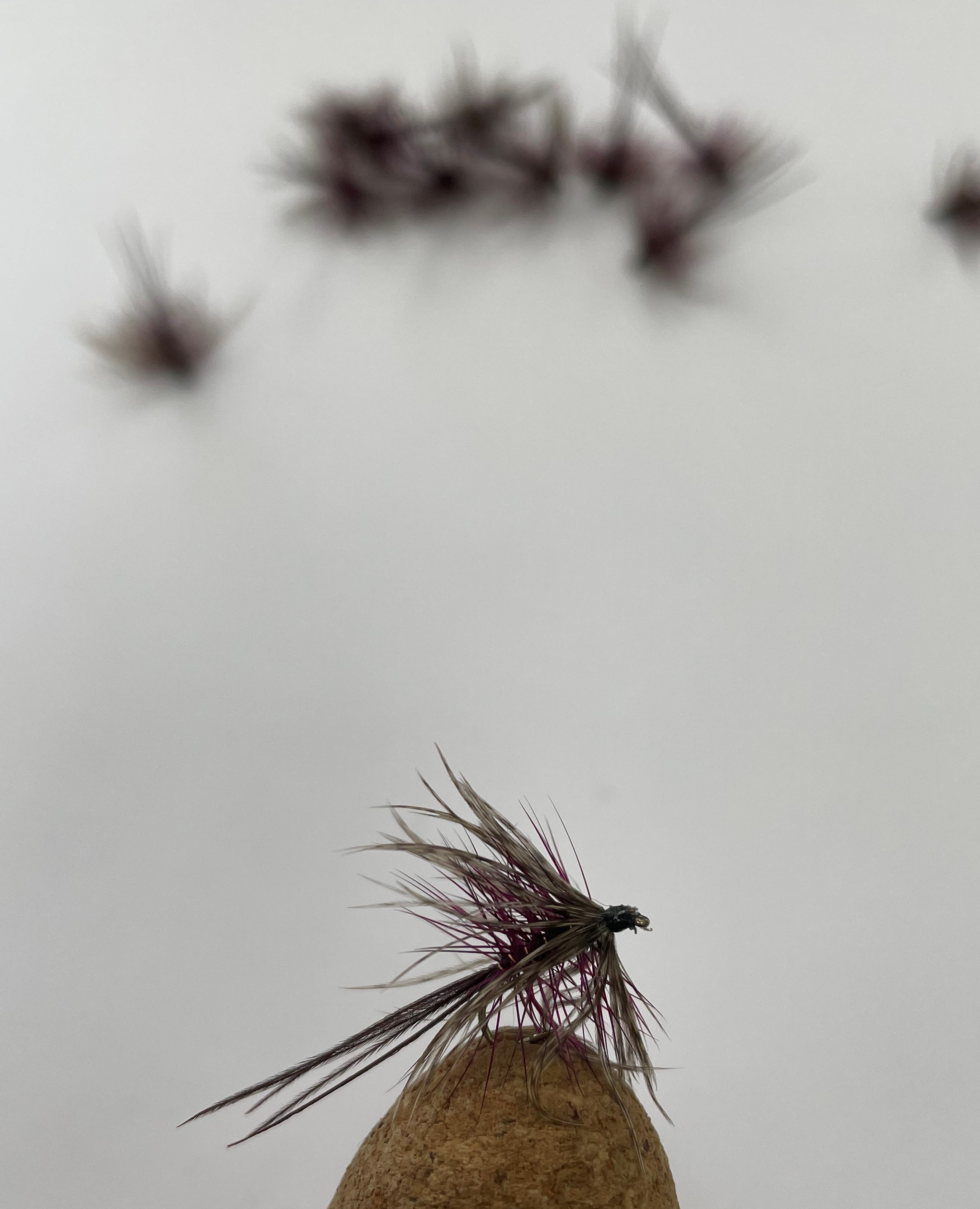 Dabbler - Claret #12