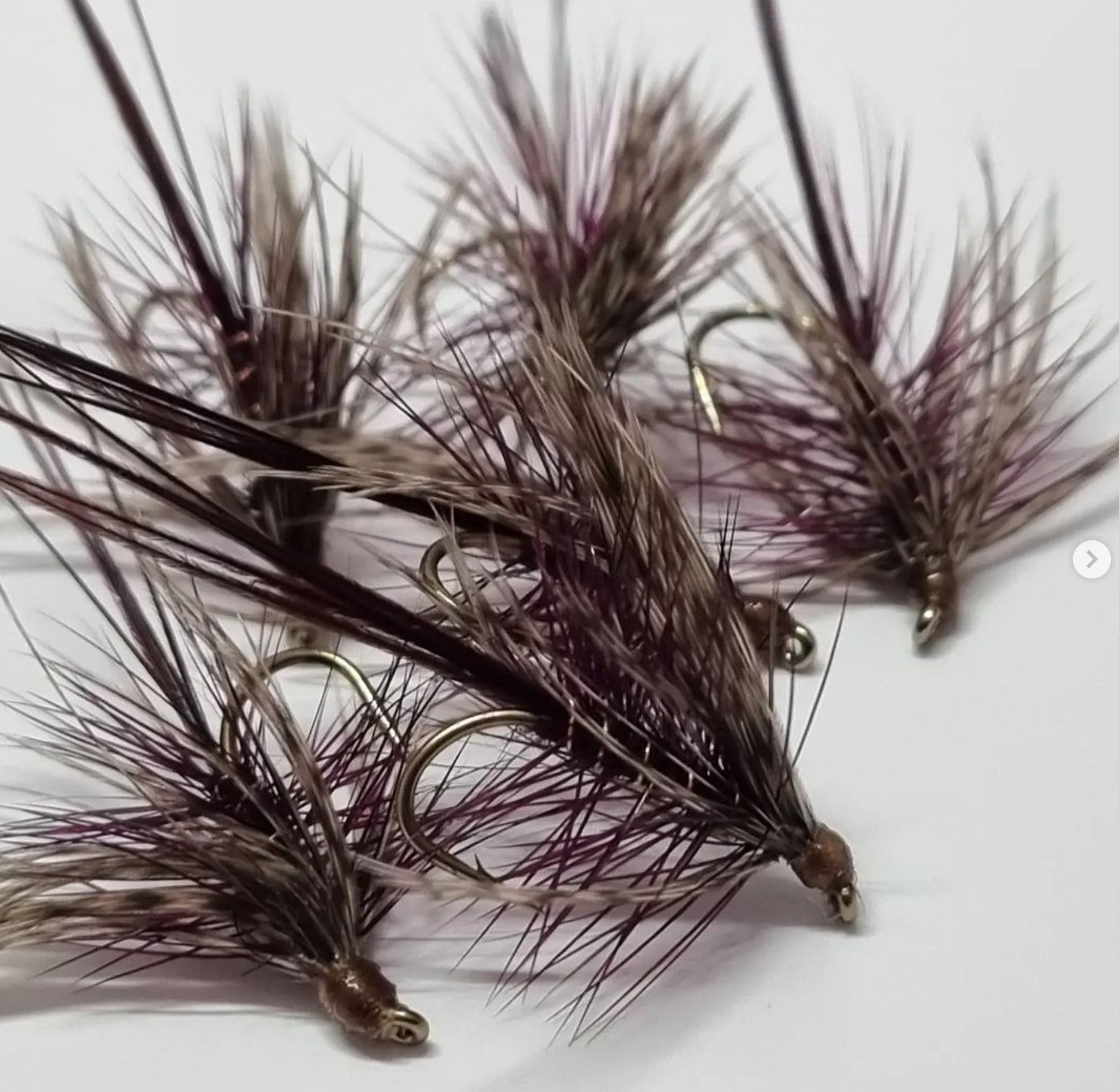 Dabbler - Claret #12