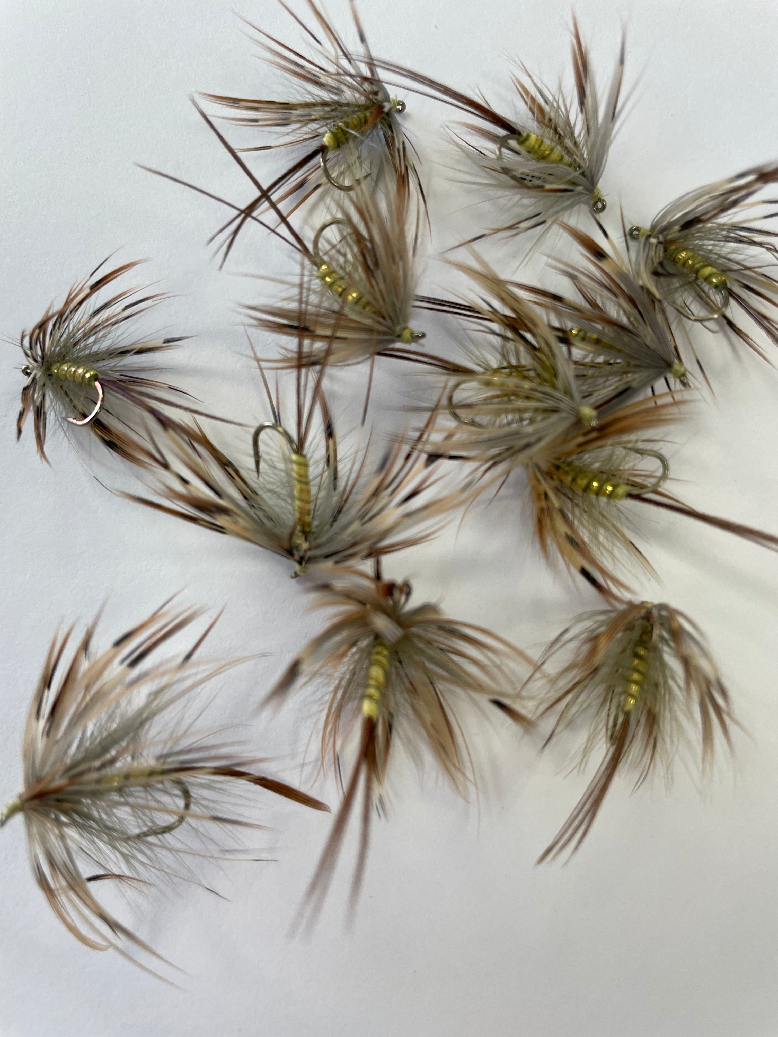 French Partridge Mayfly #10