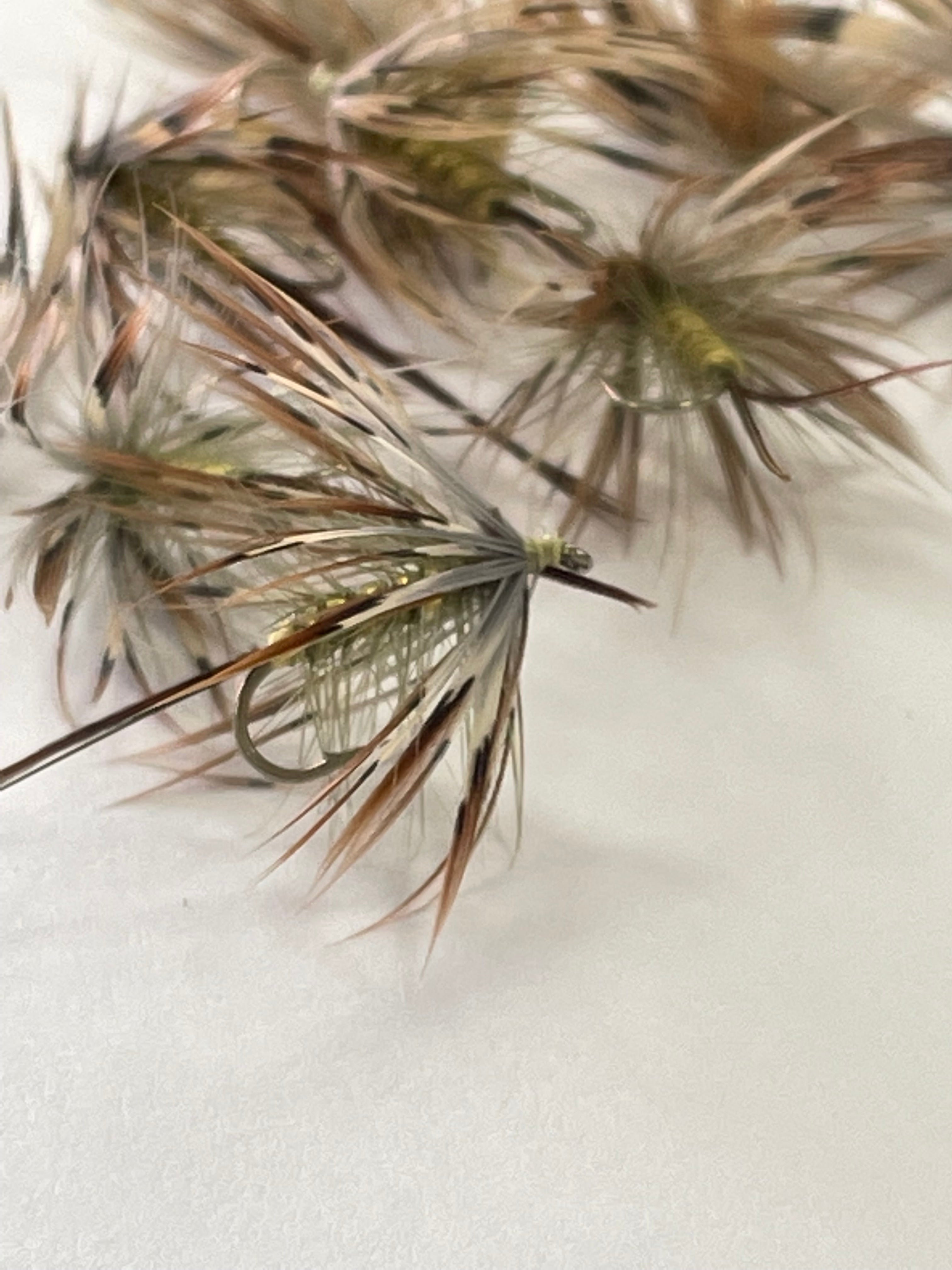 French Partridge Mayfly #10