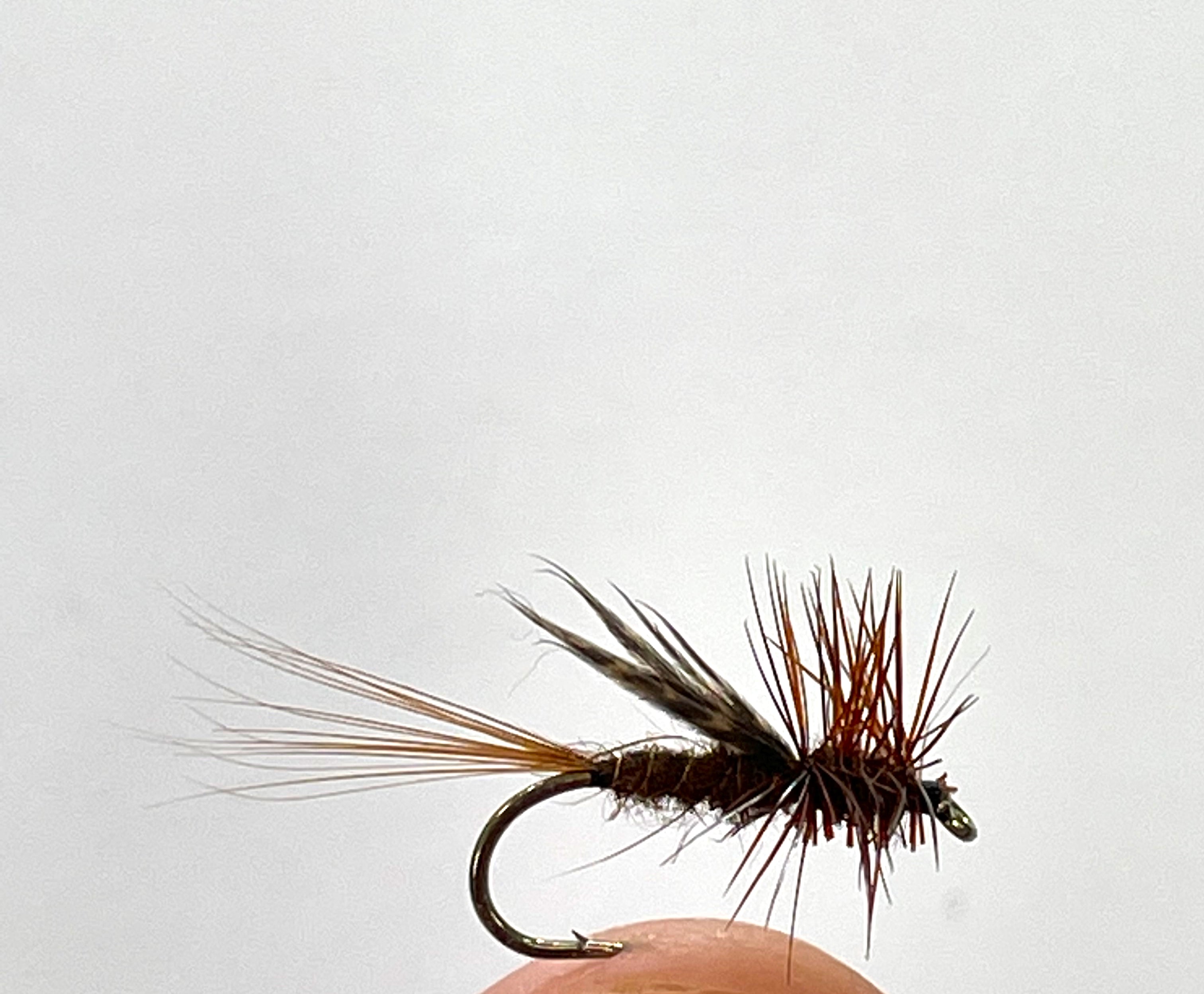 Barry Lodge Emerger