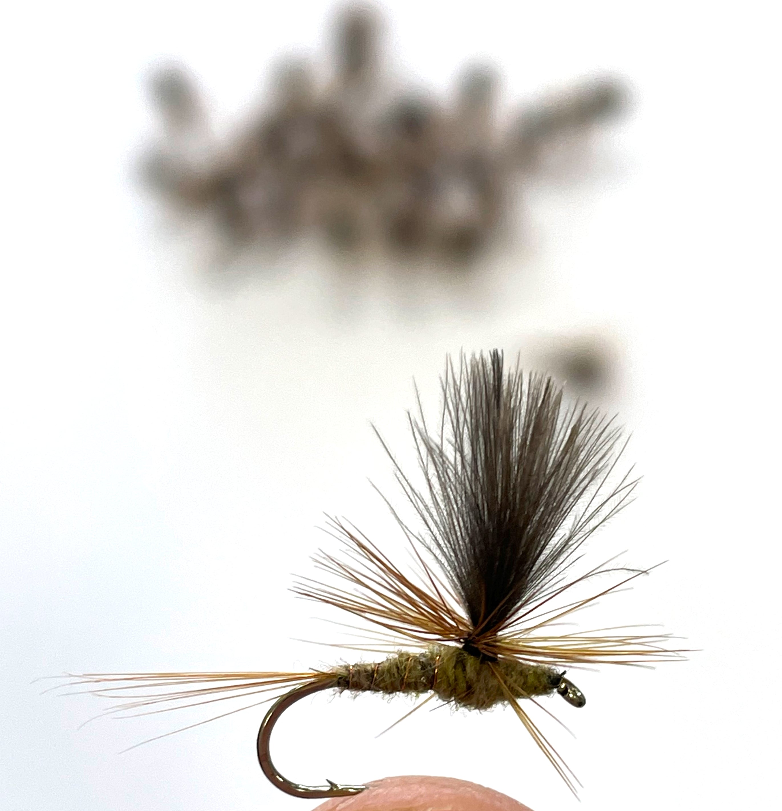 Brett Wolf Emerger - Light