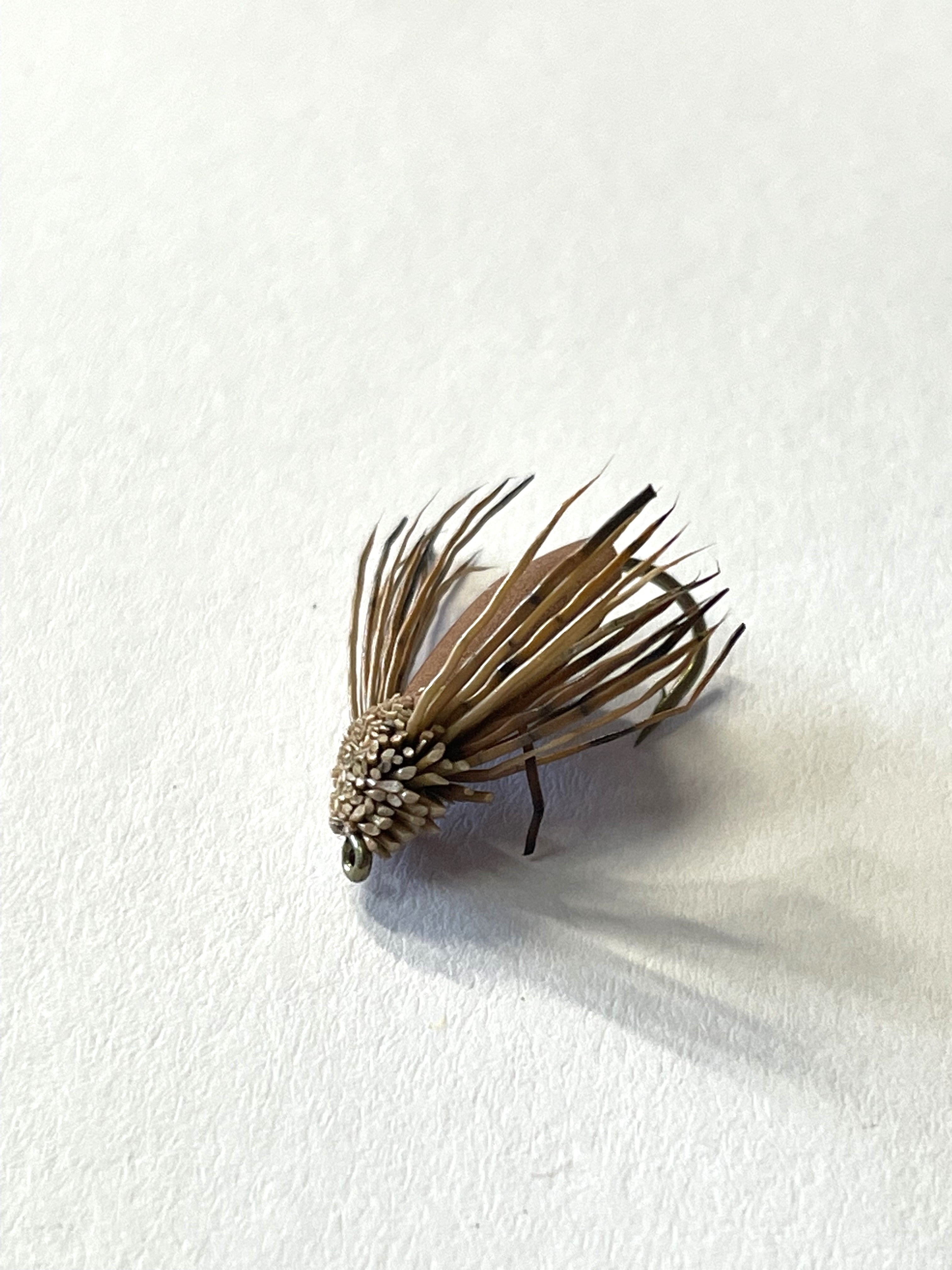 Foam Mudeye Brown - #8