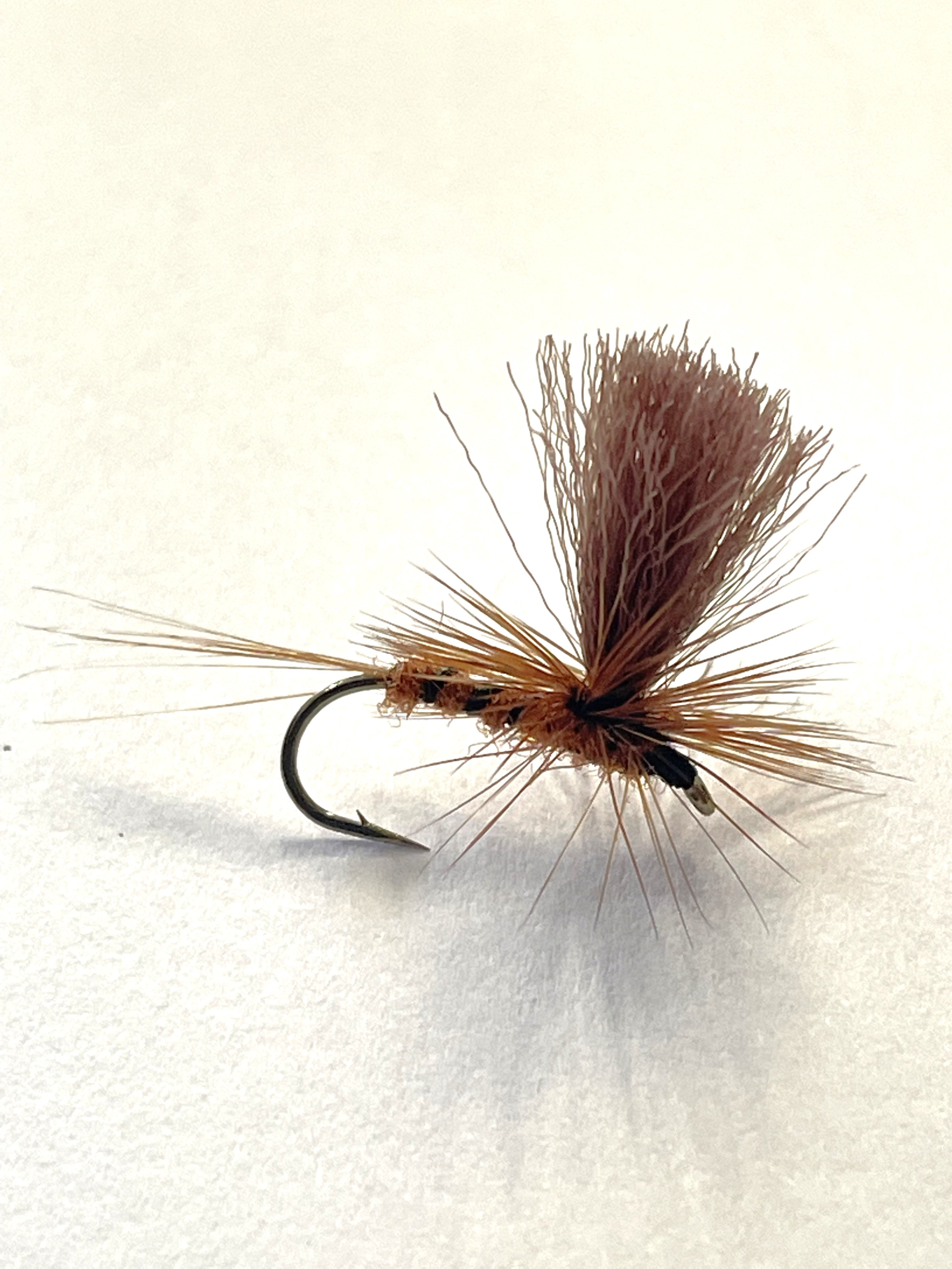 Brown Parachute Dun #12