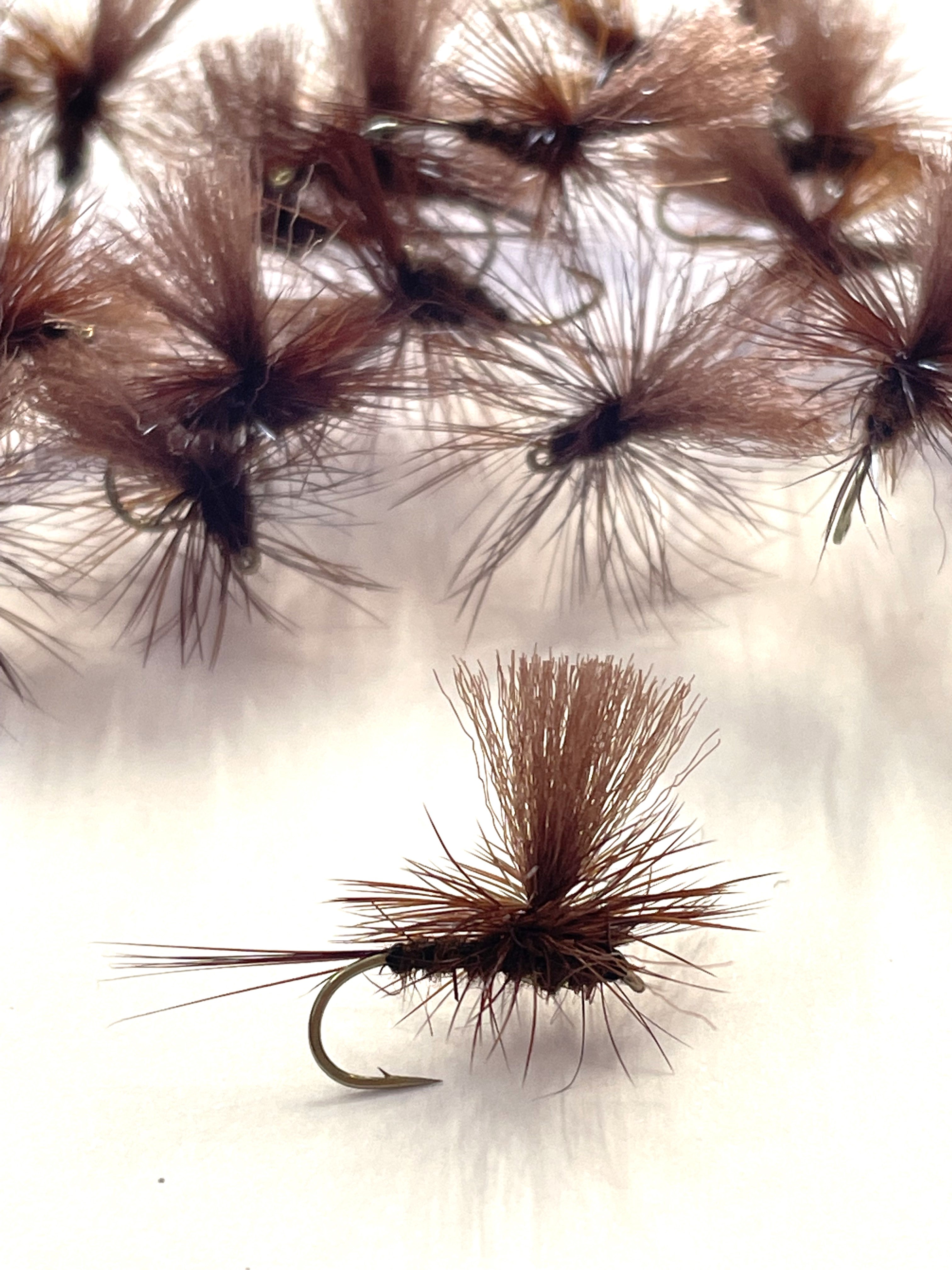 Chocolate Parachute Dun #12