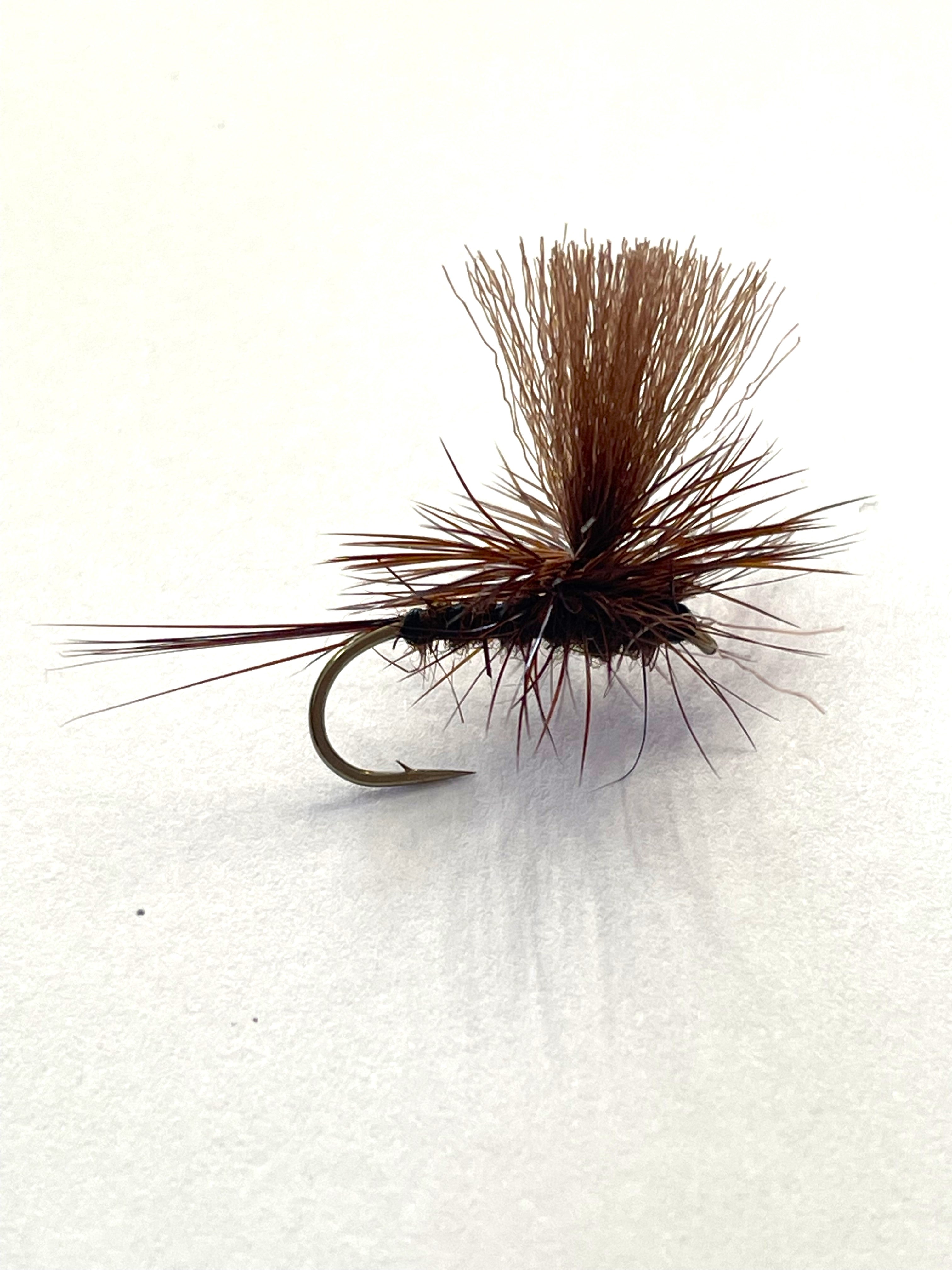 Chocolate Parachute Dun #12