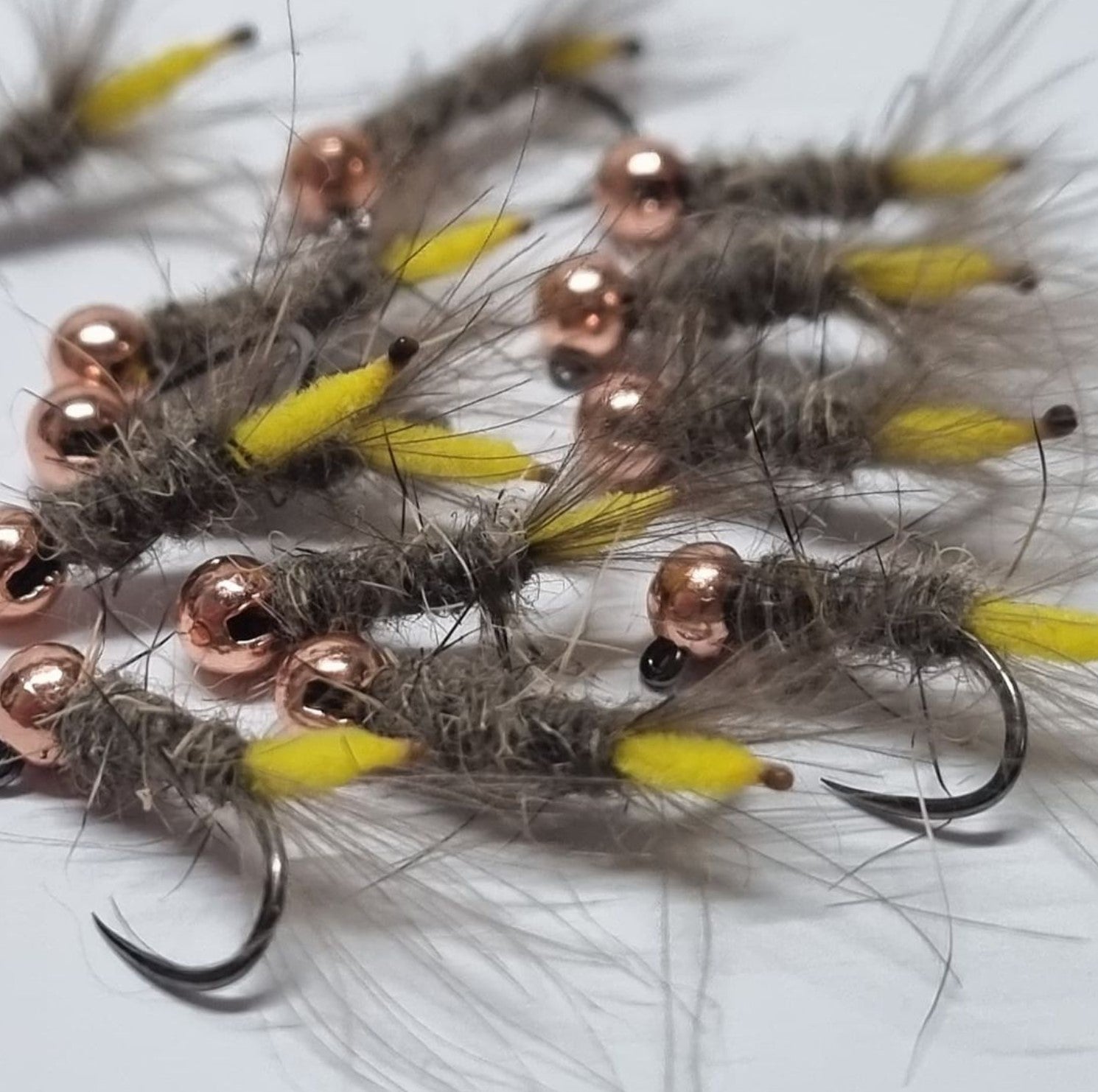 Peeping Caddis (euro) Size #14 Barbless