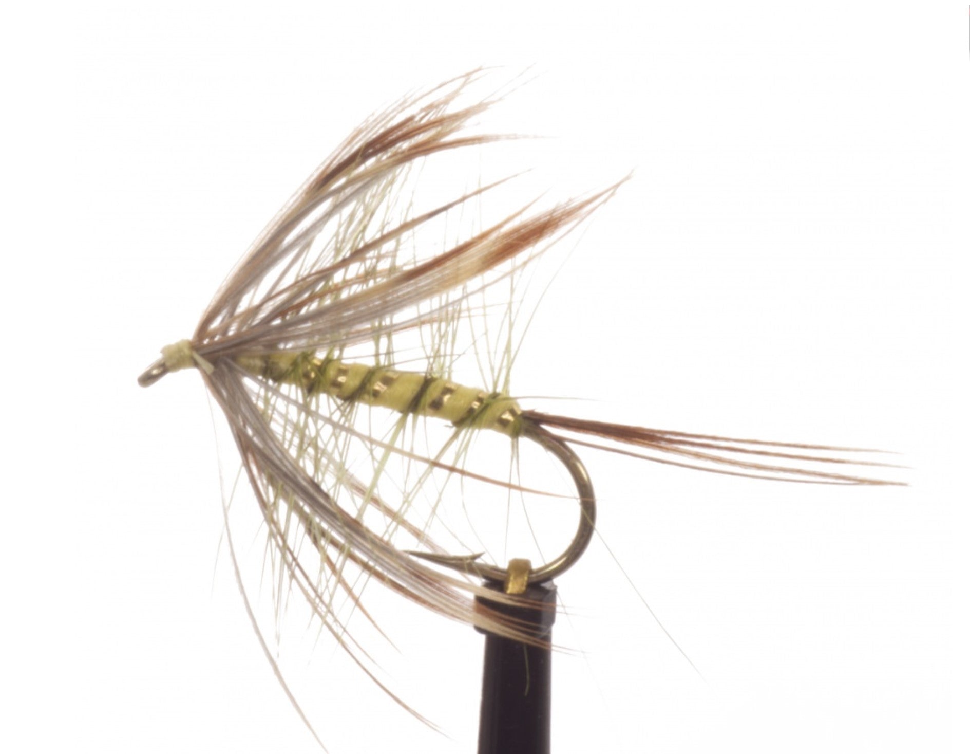 French Partridge Mayfly #10