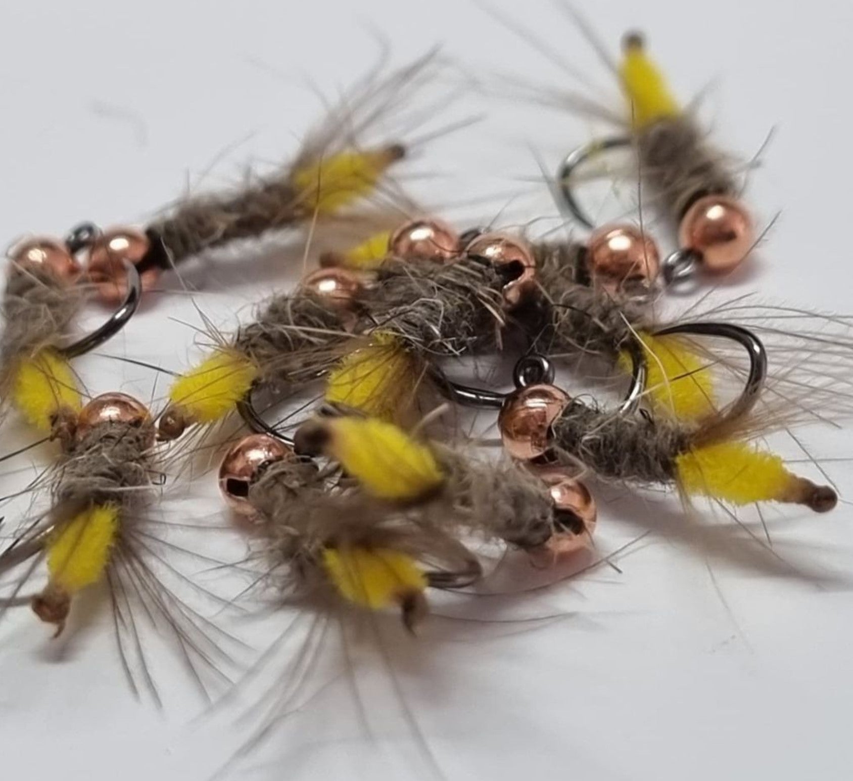 Peeping Caddis (euro) Size #14 Barbless